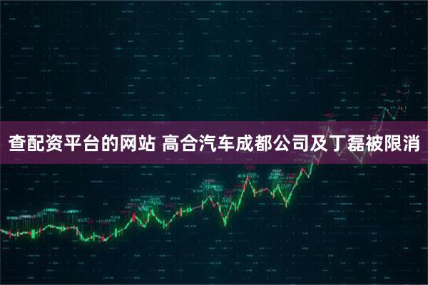 查配资平台的网站 高合汽车成都公司及丁磊被限消